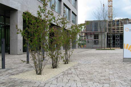birke · zimmermann landschaftsarchitekten