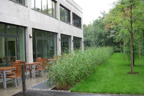 birke · zimmermann landschaftsarchitekten