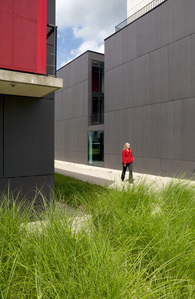 Julia Knop, Hamburg