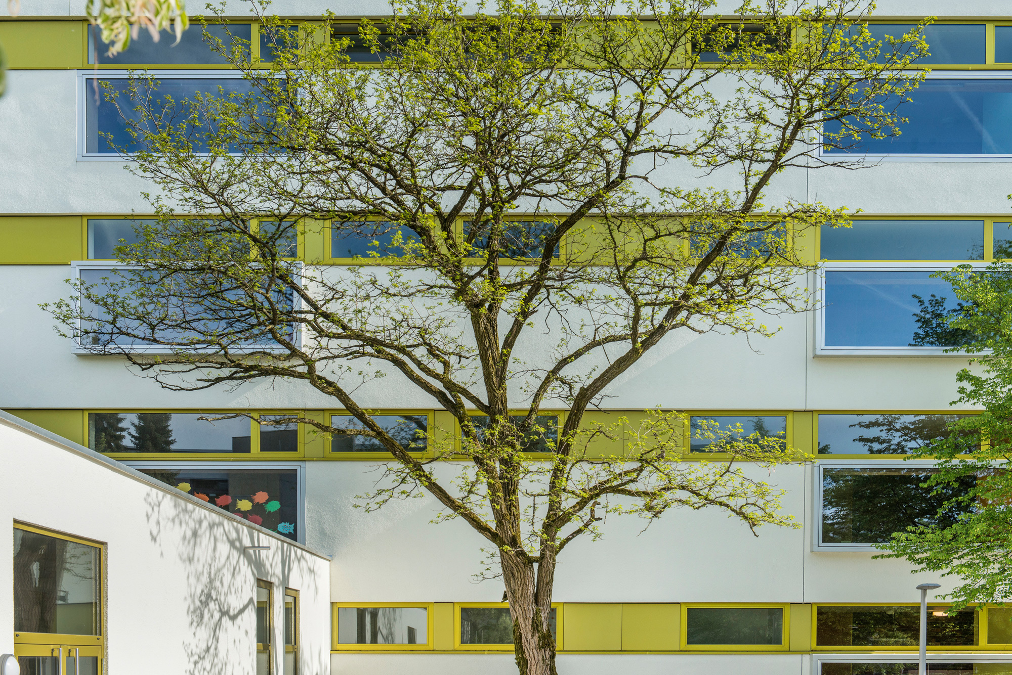 Gruber + Popp Architekt:innen BDA