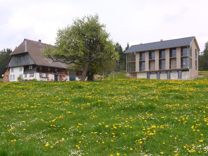 Thomas Riedel, Karlsruhe
