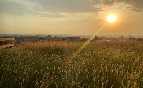 ©kadawittfeldarchitektur mit GREENBOX Landschaftsarchitekten
