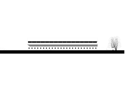 PETER W. SCHMIDT +  ASSOZIIERTE GmbH & Co. KG