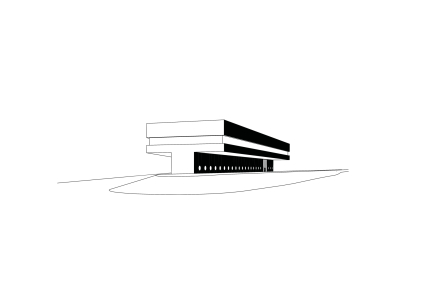 PETER W. SCHMIDT +  ASSOZIIERTE GmbH & Co. KG
