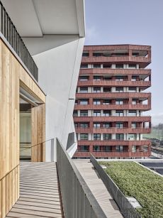 Roger Frei, Zürich
