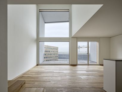 Roger Frei, Zürich