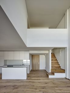 Roger Frei, Zürich