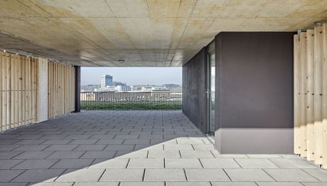 Roger Frei, Zürich
