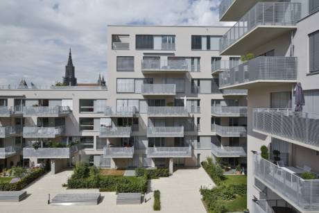 Martin Duckek, Ulm