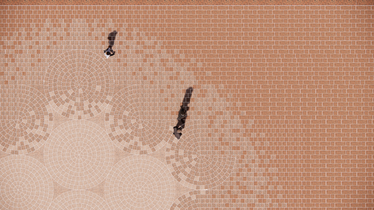 Roland Castro & Snøhetta / MIR