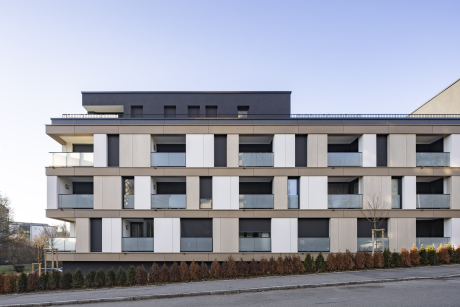 Schelmenholz