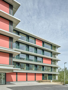 Roger Frei, Zürich