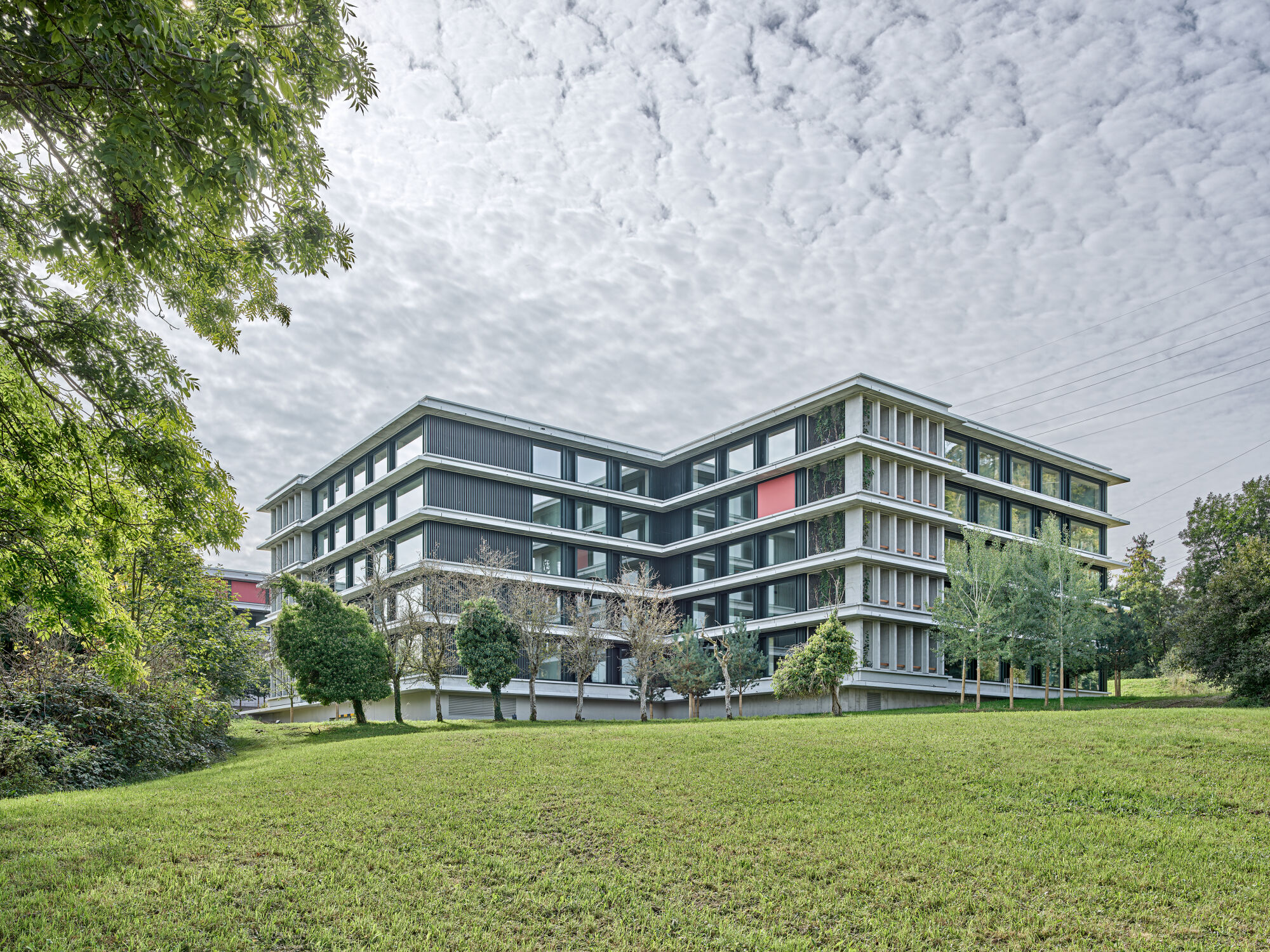 Roger Frei, Zürich