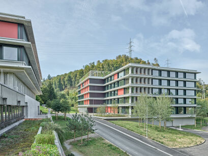 Roger Frei, Zürich