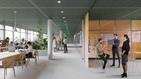 Renderings: beyond visual arts