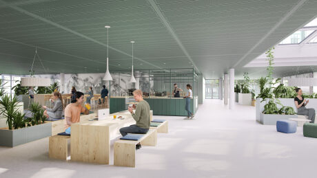 Renderings: beyond visual arts