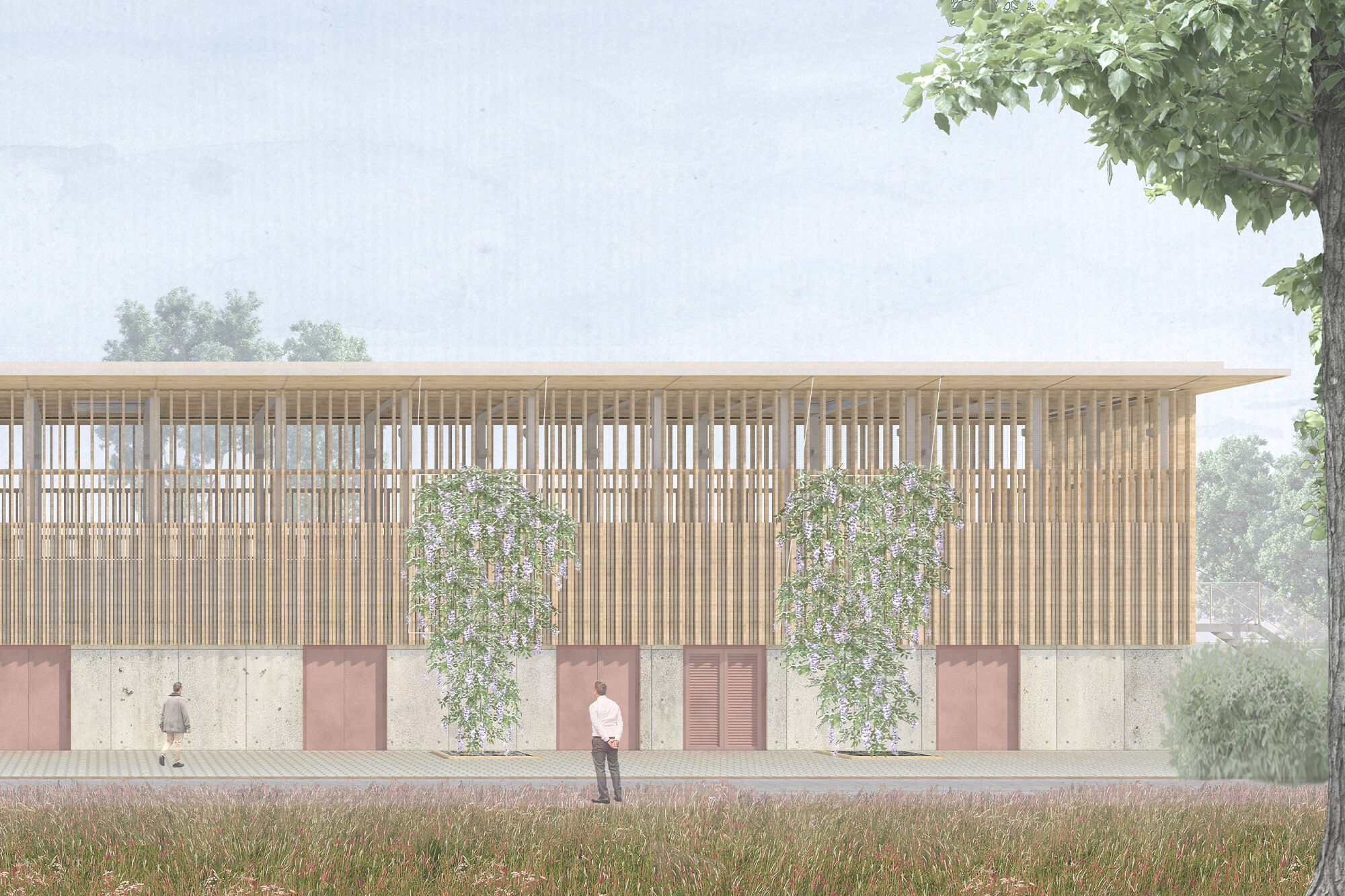 Bachmann Badie Architekten