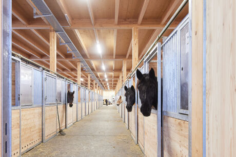 EMILBLAU/Martin Geyer