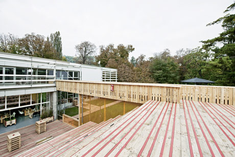 Hertha Hurnaus